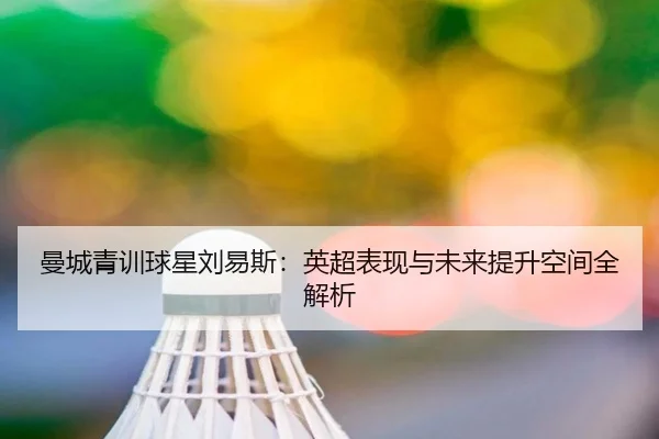 曼城青训球星刘易斯：英超表现与未来提升空间全解析